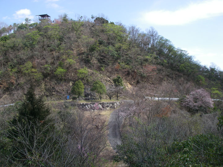 同期の桜・真道山