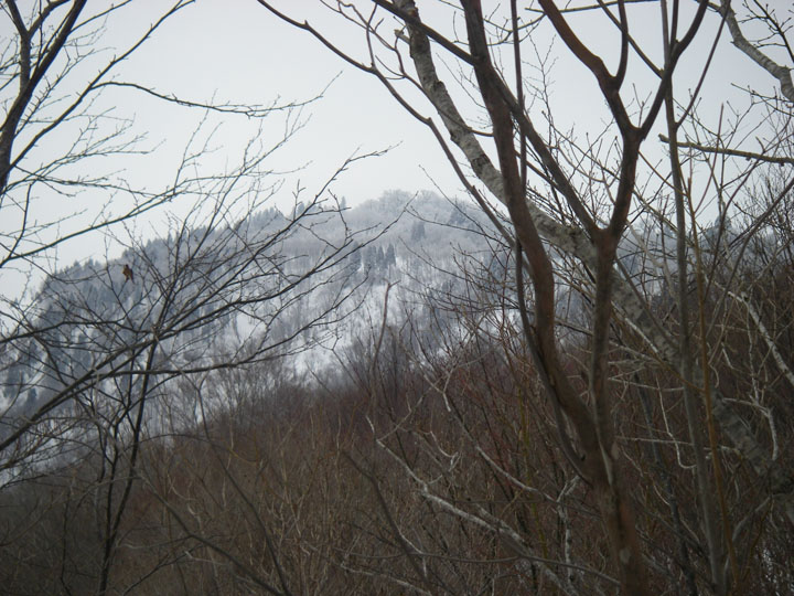 霧氷の恐羅漢山